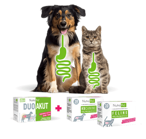 NutraPro DuoAkut + K9Canine Feline